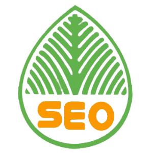 自贡提升网站移动适配的注意事项
