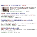 自贡朱安安：SEO外链代发行业大揭密